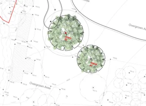 additional-services-nrt